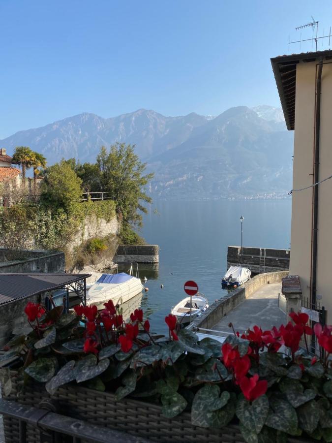 Al Molo 5 - Margaritaville Oliveto Lario Eksteriør billede